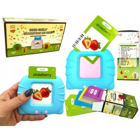 Czytnik Kart Do Nauki słówek POLSKI i ANGIELSKI 448 SŁÓW III TRYBY JĘZYKÓW