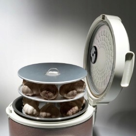 NOWOŚĆ GARNEK DO FERMENTACJI CZARNEGO CZOSNKU TIROSS 2 TRYBY 5L TS906