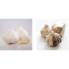 GARNEK DO FERMENTACJI CZARNEGO CZOSNKU TIROSS 2 TRYBY 6L TS908